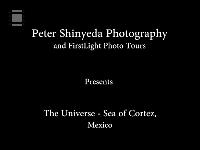 The Universe